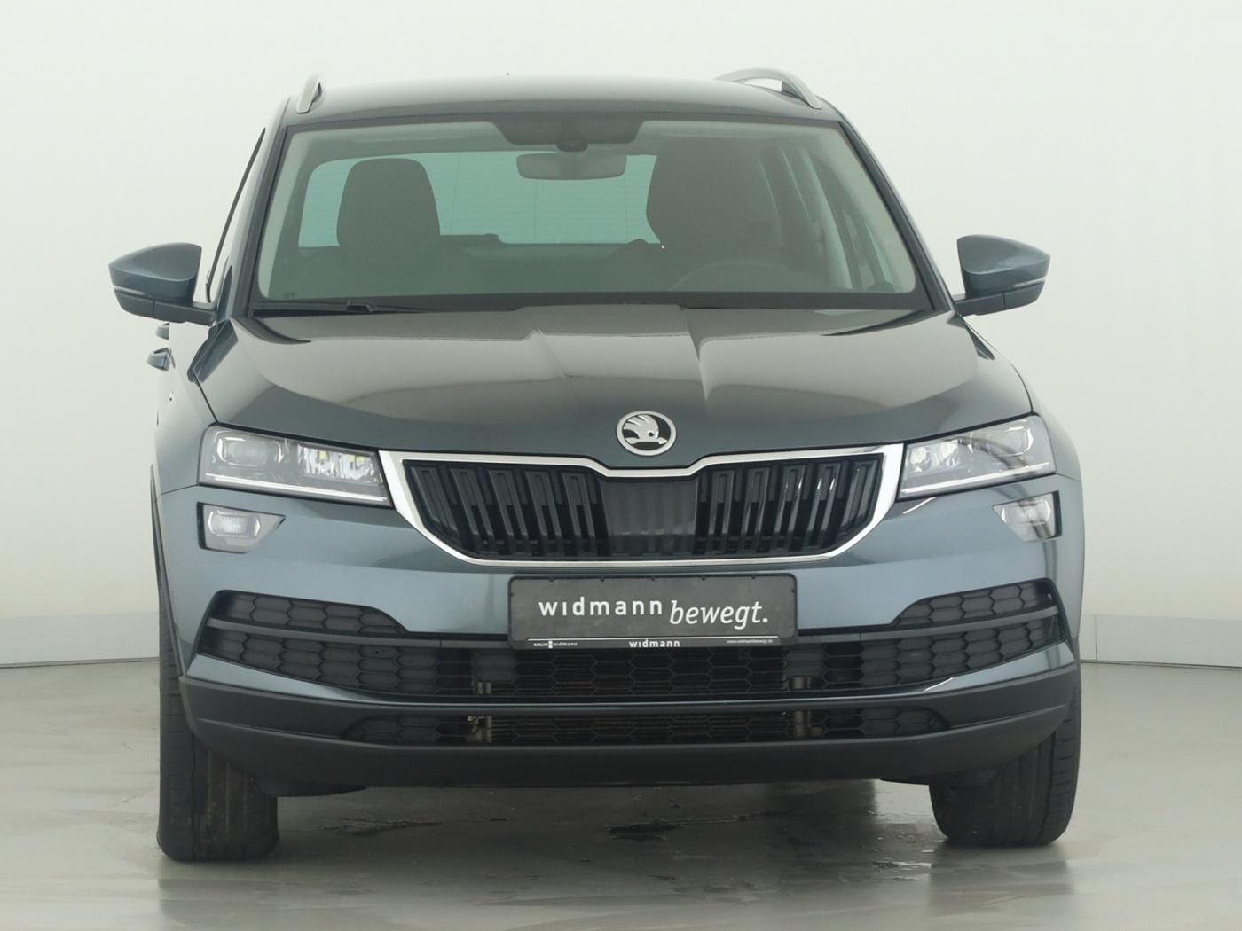 Skoda Karoq Clever 4x4 *AHK*Rückfahrkamera*Lenkradhzg.