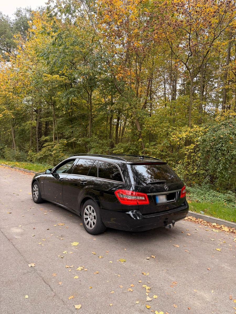 Mercedes-Benz E220 2011 — вигляд ззаду