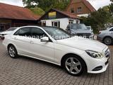 Mercedes-Benz E 250 4MATIC AVANTGARDE Autom.*Pano*Keyless*S/S* - Mercedes-Benz E 250: 4matic