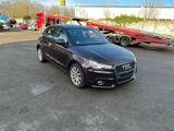 Audi A1 1.6 TDI Ambition Sportback,Navi,Sitzh.,Xnon - Audi A1: Braun