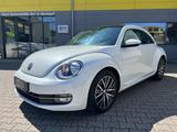 Volkswagen Beetle Lim. Design/PANO/SHZ/KLIMA/NAVI/TEMPOMAT - Volkswagen Beetle: Weiß