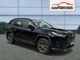 Toyota RAV4 2.0 4x4 Automatik,CarPlay,Kamera,ACC,LED