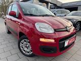 Fiat Panda Lounge*Elkt.Fenster*Eco*Klima*Radio*59tkm - Fiat Panda: Automatik