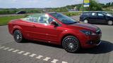Ford Focus Cabrio - Ford aus 2011: Cabrio