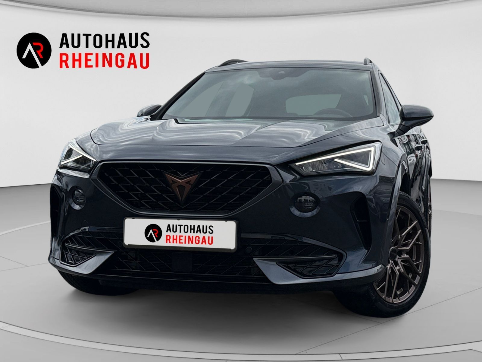 Fahrzeugabbildung CUPRA Formentor 2,0 TDI 4Drive DSG ACC RFK MEMORY
