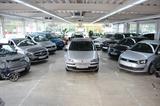 Fiat Punto 1.2 16V *Automatik* - Fiat Punto in Essen