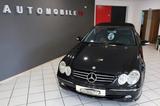 Mercedes-Benz CLK 240 Cabrio Avantgarde,Klimaaut,Navi,Pdc,1.Hd - Mercedes-Benz CLK 240: Cabrio