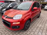 Fiat New Panda 0.9 8V TwinAir LOUNGE Start&Stopp - rote Fiat New Panda
