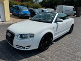 Audi A4 Cabriolet 2.0 TDI S-Line*KLIMA*SHZ* - Audi A4: Weiß, Cabrio