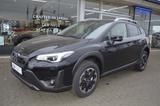 Subaru XV XV 1.6i Edition Comfort Plus - Subaru XV aus 2024