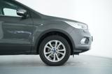 Ford 1.5 ECOBOOST AUT.4x4TITANIUM+BI-XEN.+GEWERBE/EXP - Ford: Unfallwagen