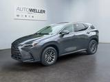 Lexus NX 350h Executive Line *360*HUD*Navi*LED*el Heck - Lexus NX 350h Tageszulassungen