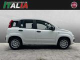 Fiat Panda ICON 1.0 GSE Hybrid - Fiat Panda Neuwagen mit Benzin-Antrieb