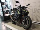 Kawasaki Z1000 R Edition Performance - Angebote