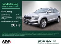 Skoda Karoq - Vorschau Bild 1