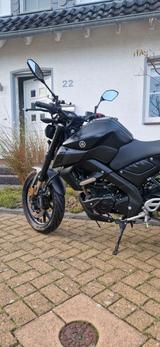 Yamaha MT125 (Modell 2022) - YAMAHA MT125
