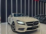 Mercedes-Benz Mercedes-benz CLS 250 CDI BlueEFFICIENCY - Mercedes-Benz CLS 250 mit Diesel-Antrieb