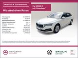 Skoda Octavia Combi 2.0 TDI DPF Ambition 4x4, Business - Skoda Octavia: Business