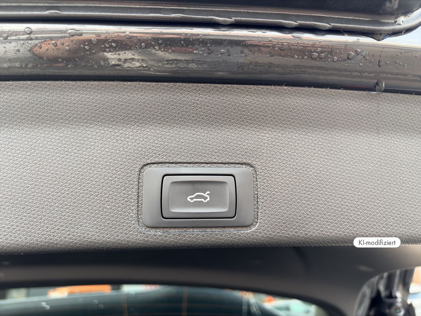 Cupra Terramar - Bild 14