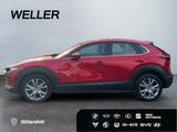 Mazda CX-30 e-SKYACTIV-G 2.0 M HYBR 150 SELECTION *AHK - Mazda CX-30 in Bielefeld