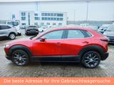 Mazda CX-30 Selection 2,0 Automatik Navi, Leder - Mazda CX-30 mit Schiebedach