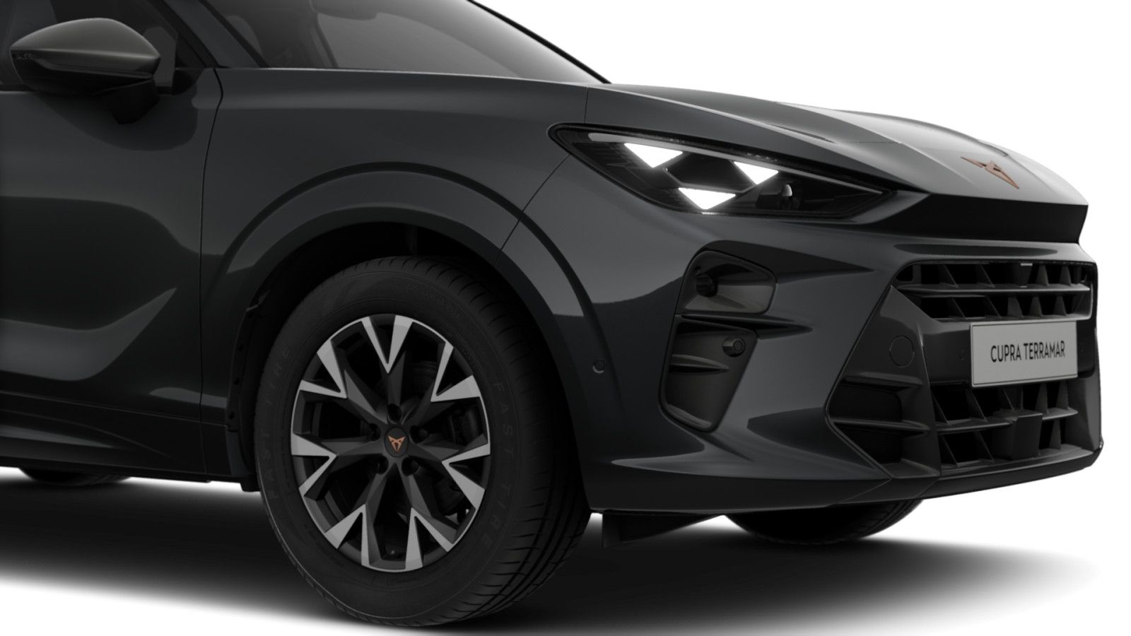 Cupra Terramar - Bild 3