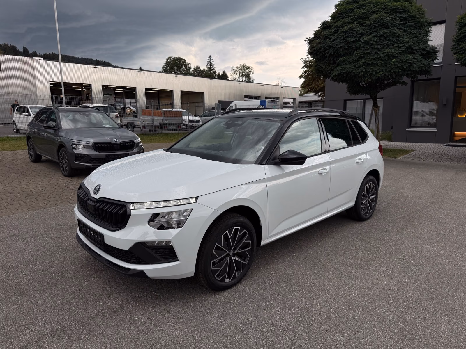 Skoda Kamiq 1.0 TSI Selection *KAMERA*SMARTLINK*17"LM*