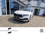 Skoda Octavia Combi 2.0 TDI Ambition DSG LED AHK Tempo