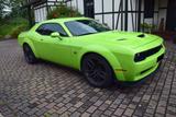 Dodge Challenger SCAT PACK Widebody 6,4 / 8 Zyl - Dodge aus 2019