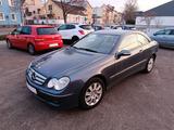 Mercedes-Benz CLK 220 CDI | DESIGNO BEIGE | Automatik | Navi - Mercedes-Benz bis 5.000 Euro