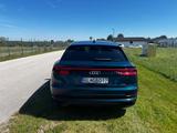 Audi Q8 50 TDI quattro tiptronic - - blaue Audi Q8