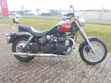 Triumph Bonneville  Speedmaster - Offers matching your search criteria
