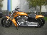 Harley-Davidson V ROD 1250 MUSCEL SPECIAL CUSTOM THUNDERBIKE - CHOPPER 125