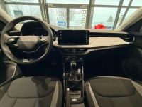 Skoda Scala - Vorschau Bild 10