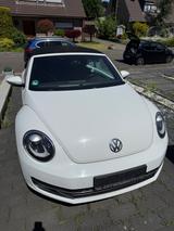 Volkswagen Beetle 2.0 TDI Exclusive Design Cabriolet Ex... - Volkswagen Beetle: Exclusive Design