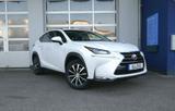 Lexus NX 200t AWD Executive-Line STANDHZ AHK LEDER - Lexus NX 200