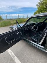 Ford Mustang GT, 289 cui, Bj 1965 - Ford: 289