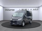 Fiat Ducato Kastenwagen Multijet Flachdach verblecht  - Fiat Ducato Neuwagen