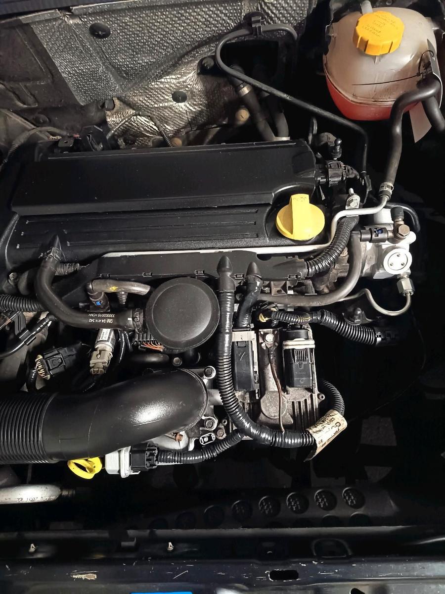 Opel Signum 2007 — photo 9