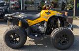 Can-Am Renegade 800R - Can-Am Quad