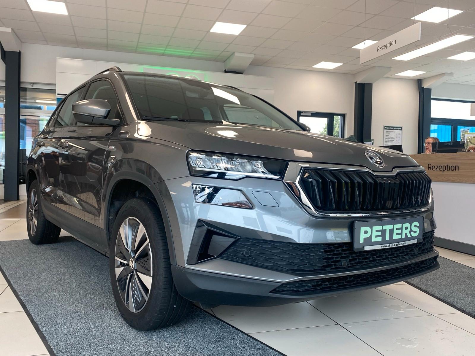 Skoda Karoq TSI TOUR el. Heckklappe Kamera Vorb. HZV