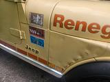 Jeep CJ7  V8 4,9l Quadra-track 8 Zylinder  - Jeep CJ: 7