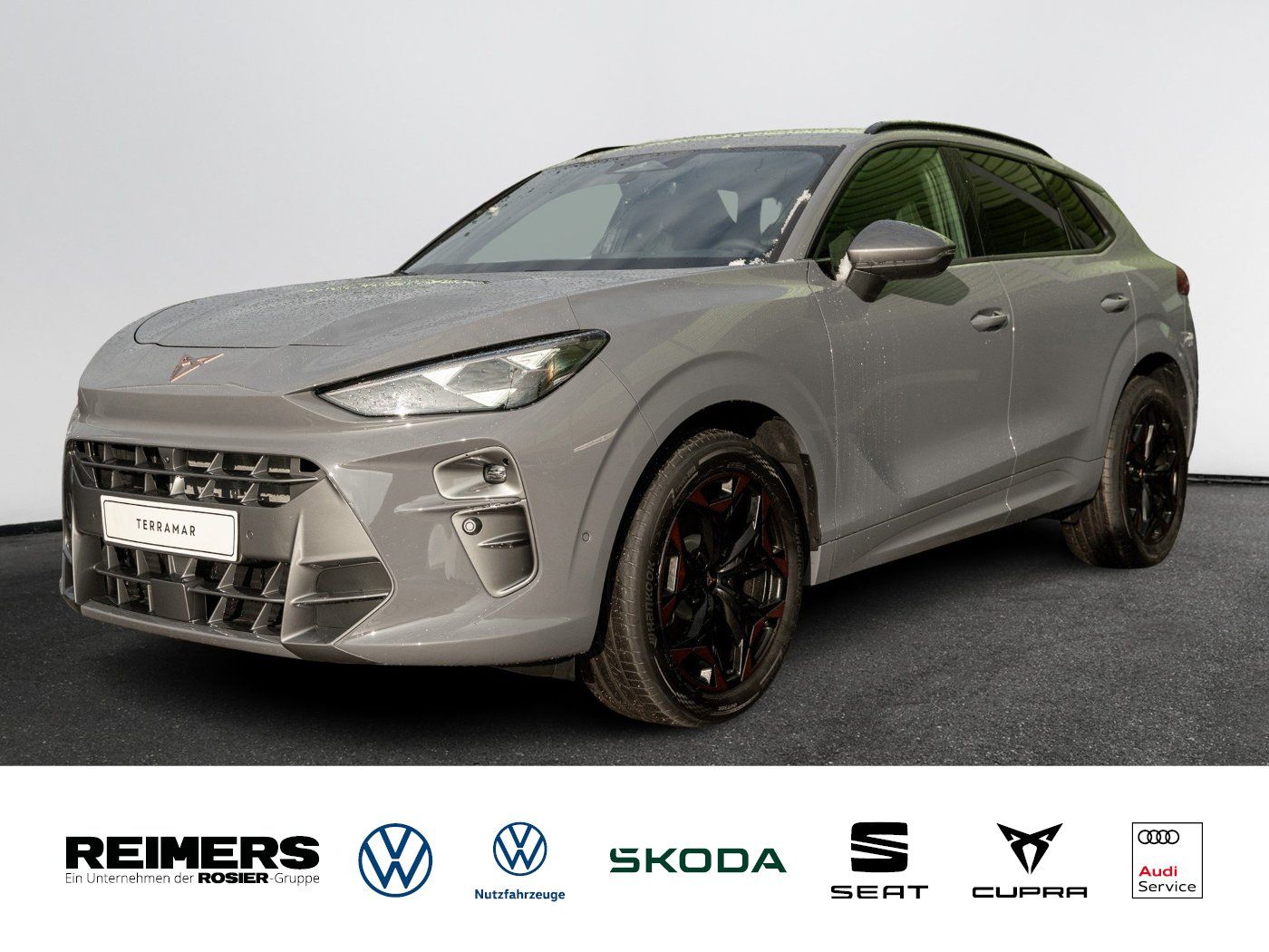 Cupra Terramar 2.0 TSI 4Drive W DCC AHK Kam. Navi 360