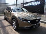 Mazda CX-30 2.5L e-SKYACTIV G 140ps 6AT FWD Takumi BLO - Mazda: Taxi