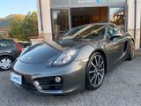 Porsche Cayman - gebrauchte Porsche Cayman aus dem Jahr 2013