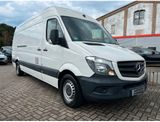 Mercedes-Benz Sprinter II Kasten  MAXI/PDC/HU&AU NEU - Mercedes-Benz Sprinter: Max