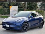 Tesla Model Y Single Motor rwd- DOPP #4099 - blaue Tesla Model Y