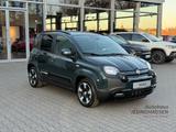 Fiat Panda Pandina Cross ***BEI ZULASSUNG BIS 31.05.2 - Fiat: 2.0