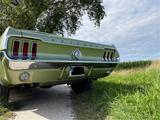 Ford Mustang - Ford Gebrauchtwagen von 1967