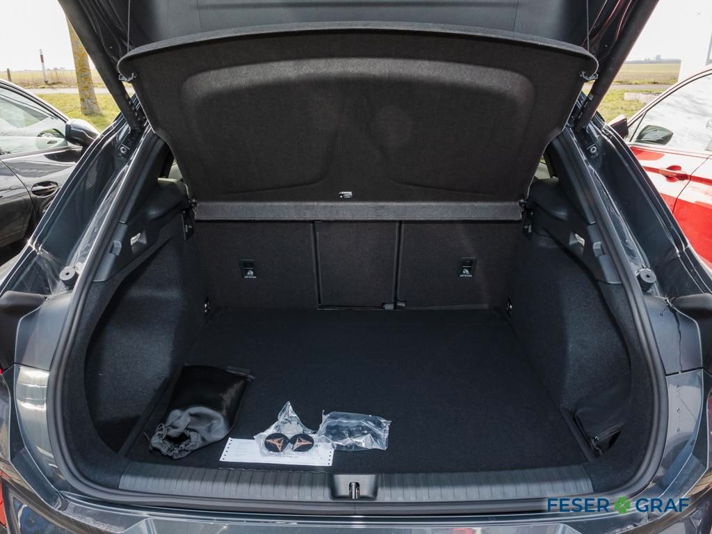 Cupra Terramar - Bild 11